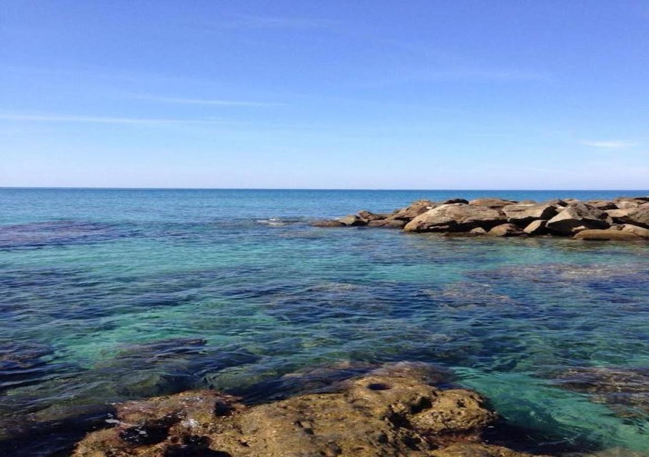 L'Albero Di Limoni Sul Mare Di Pizzo Villa ภายนอก รูปภาพ