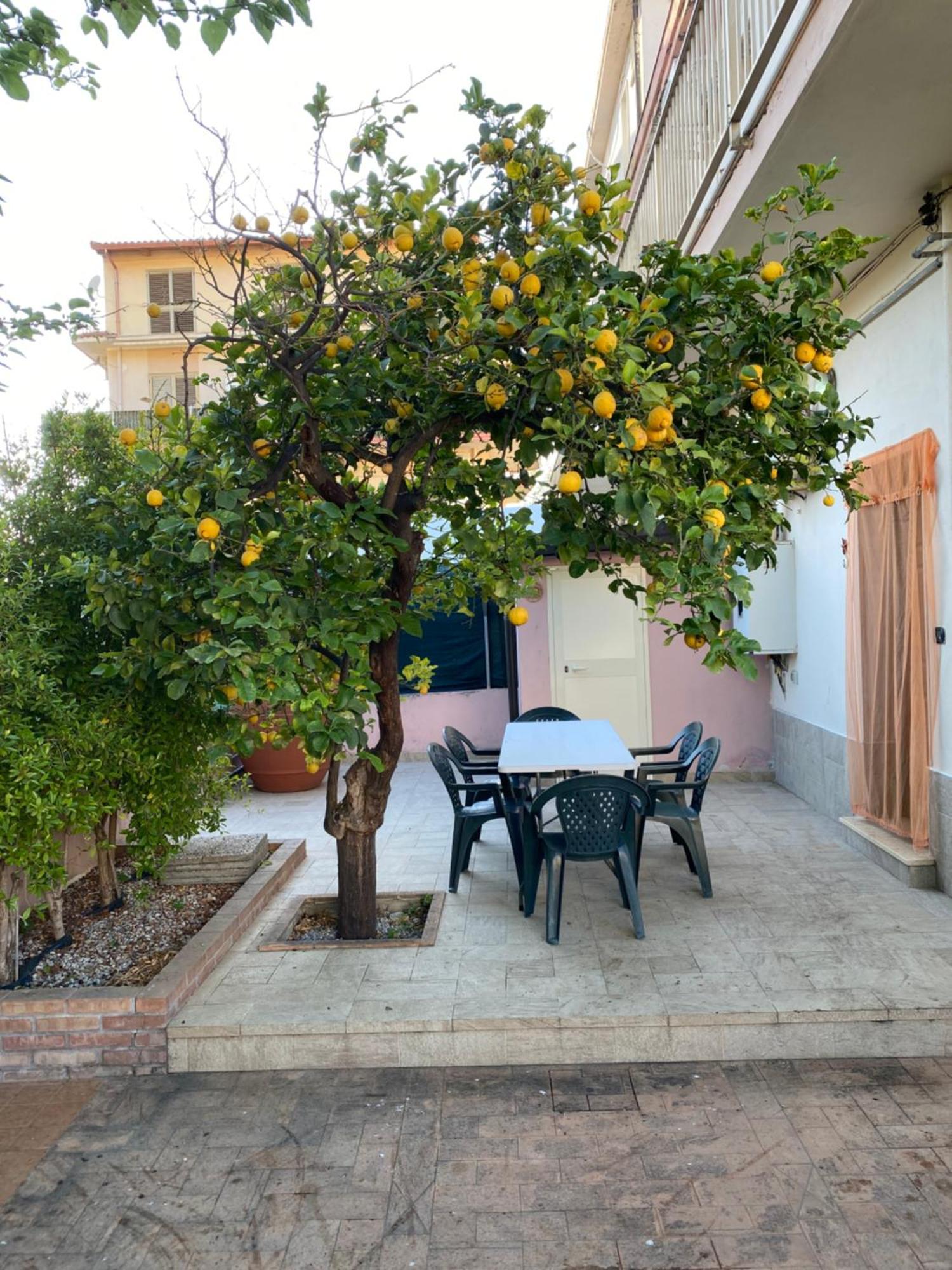 L'Albero Di Limoni Sul Mare Di Pizzo Villa ภายนอก รูปภาพ