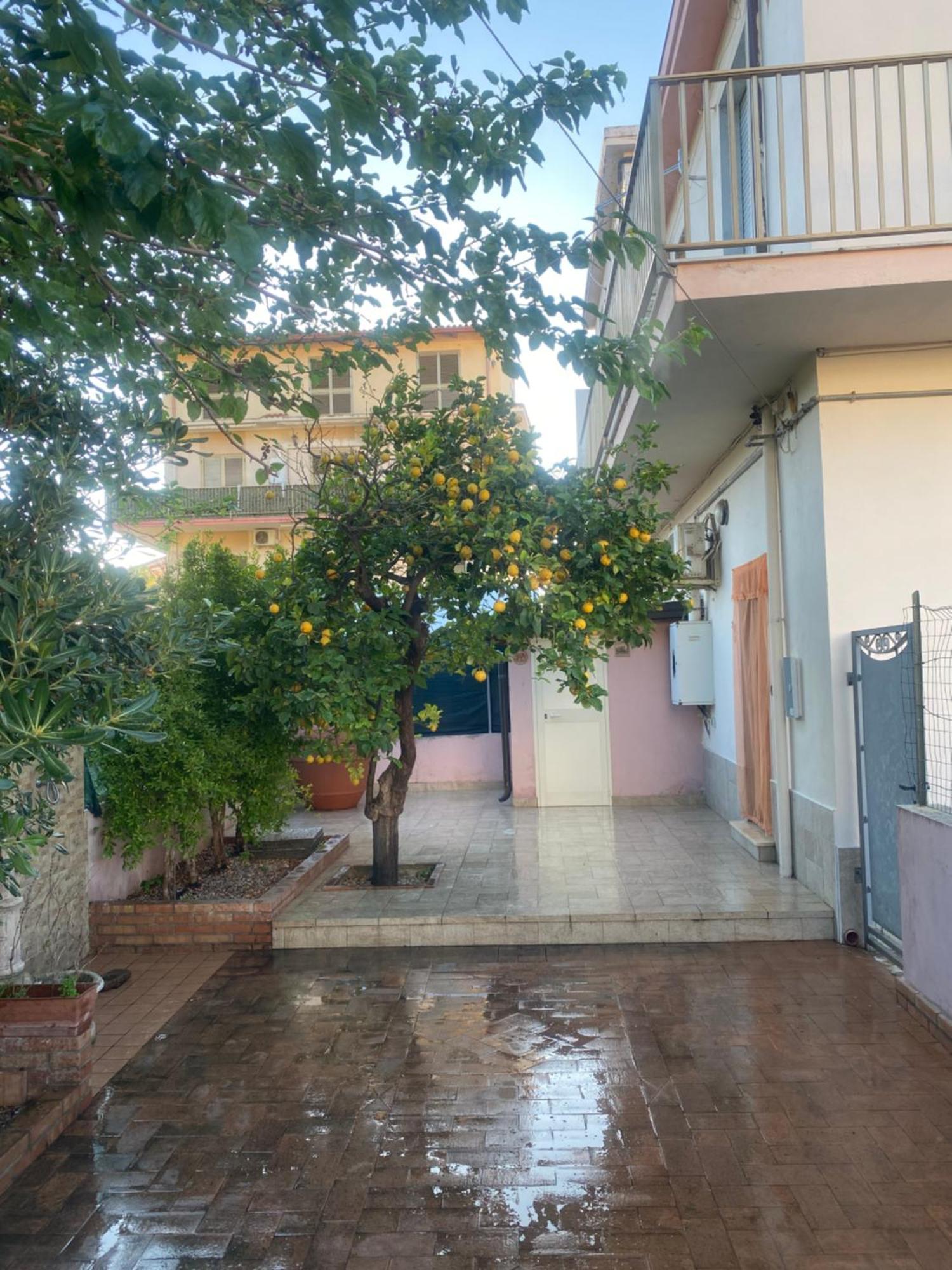 L'Albero Di Limoni Sul Mare Di Pizzo Villa ภายนอก รูปภาพ