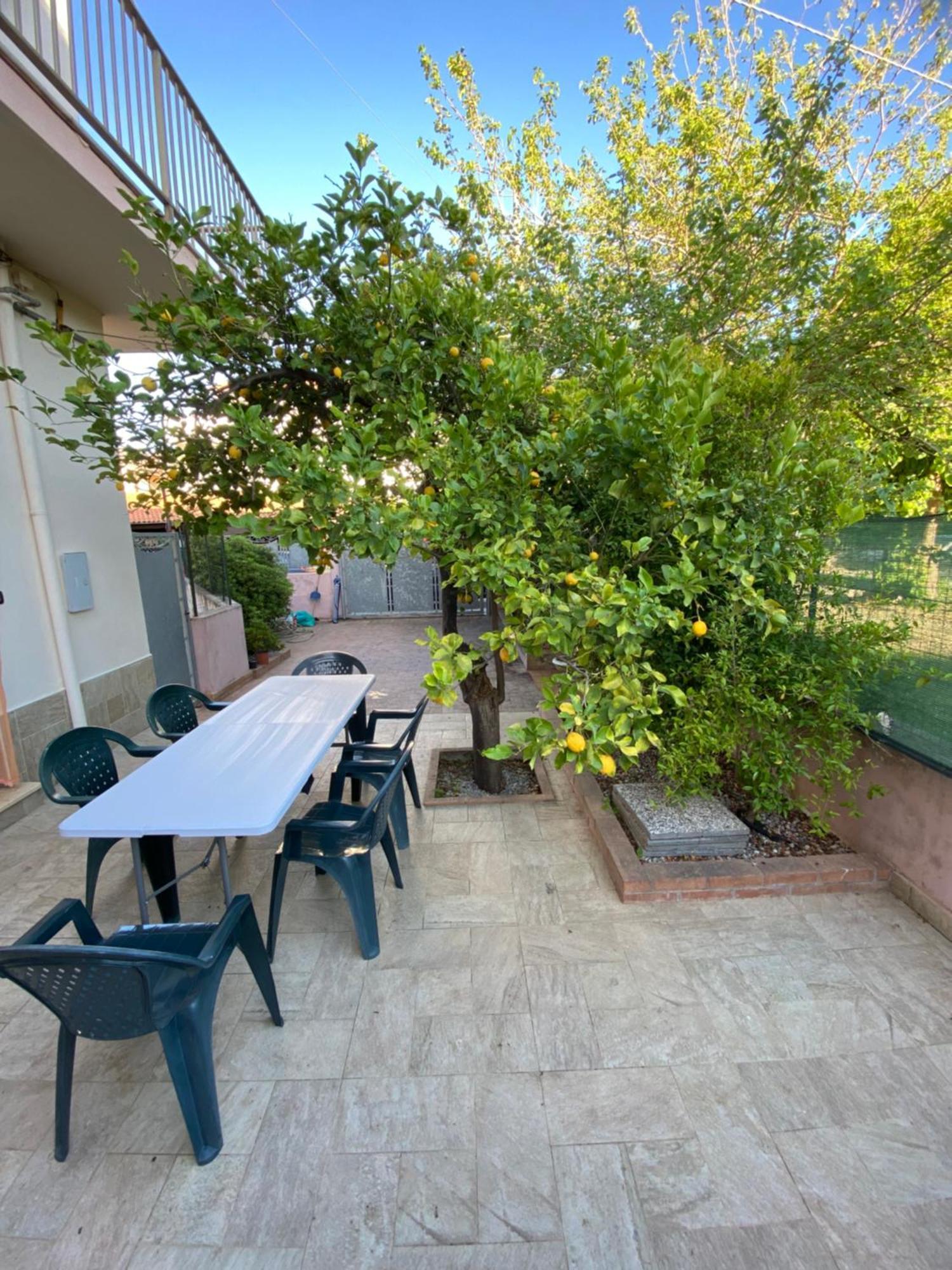 L'Albero Di Limoni Sul Mare Di Pizzo Villa ภายนอก รูปภาพ