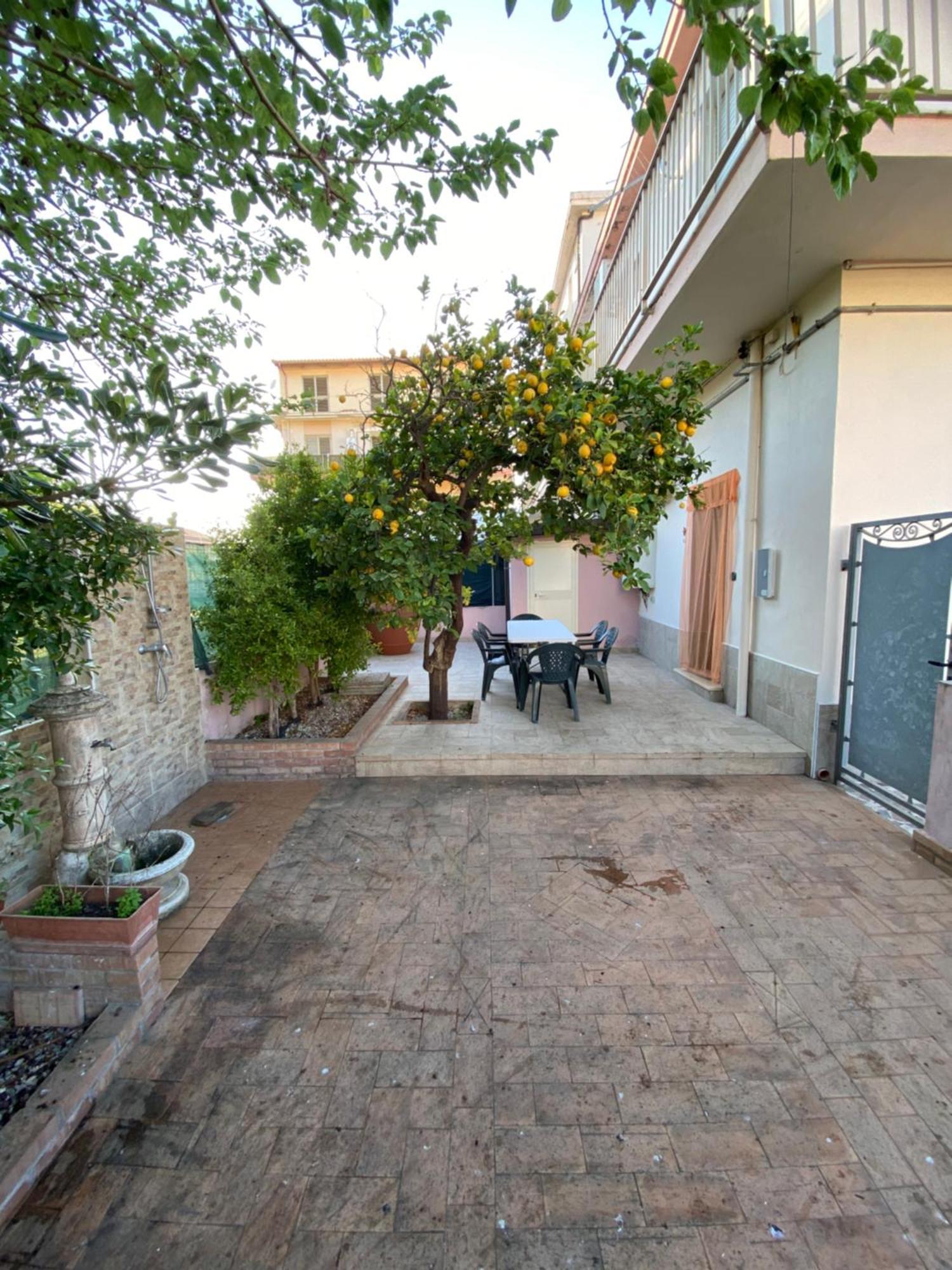 L'Albero Di Limoni Sul Mare Di Pizzo Villa ภายนอก รูปภาพ